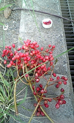 f0177670_1938193.jpg