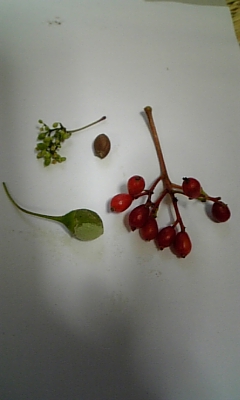 f0177670_19462248.jpg