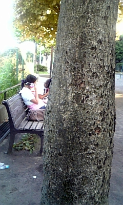 f0177670_1953014.jpg