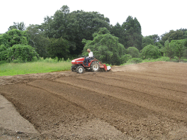 d0050871_182750.gif