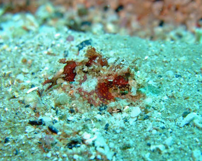 b0033573_21103366.jpg