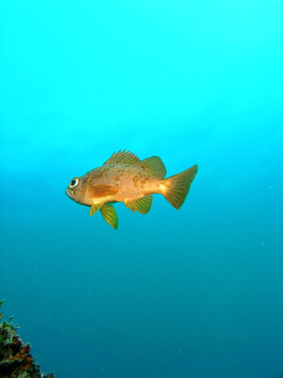 c0181073_652992.jpg