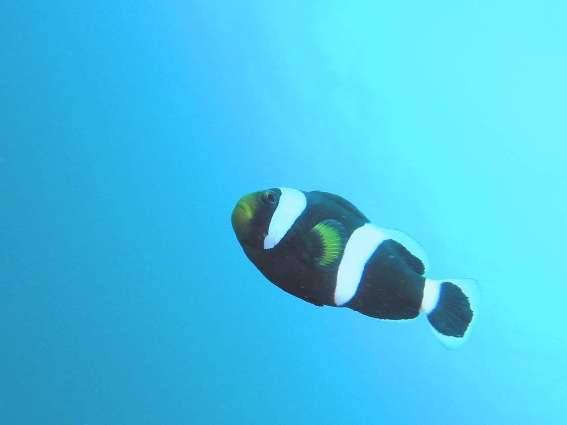 c0181073_671669.jpg