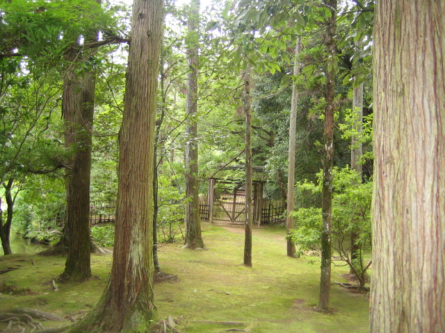 c0160778_21144997.jpg