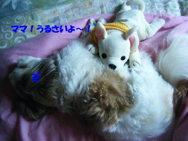 c0163878_17272823.jpg