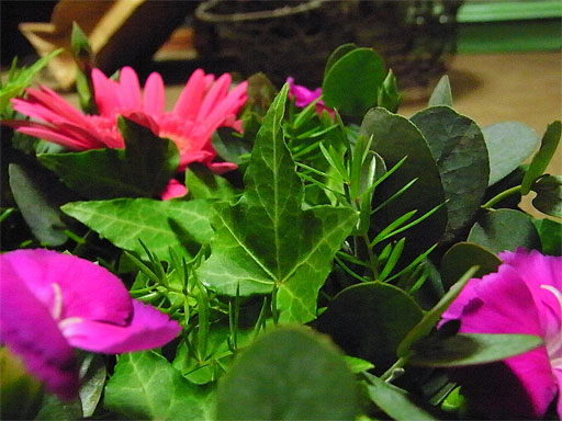 f0089079_1463123.jpg