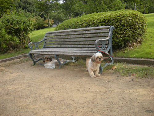 e0066883_1283836.gif