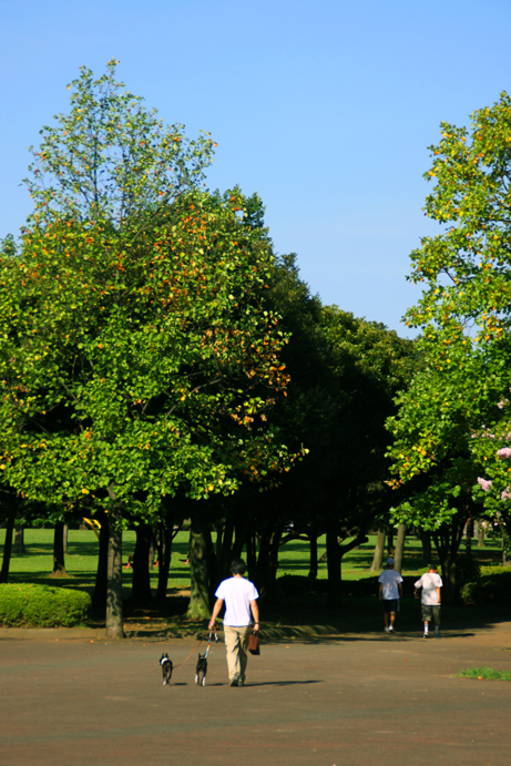 d0151787_1626872.jpg