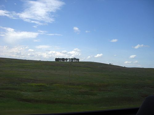 b0148991_1112133.jpg