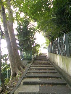 a0103293_961790.jpg