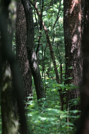 d0133693_610011.jpg