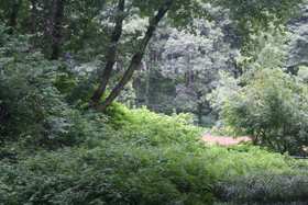 c0033994_202829.jpg