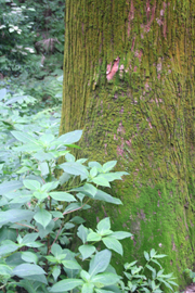 c0033994_2031969.jpg
