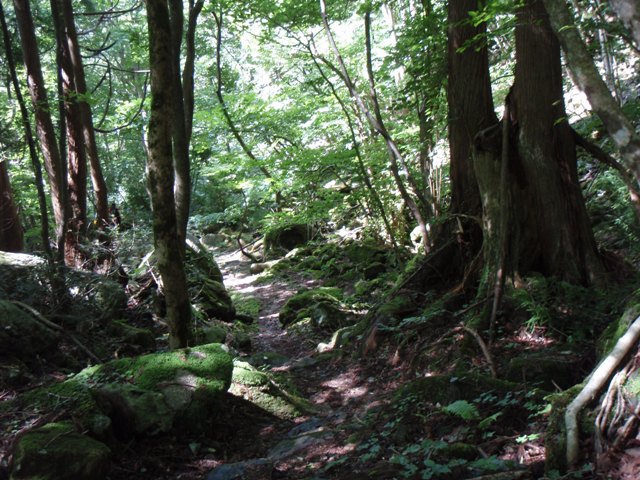 b0039898_19375568.jpg