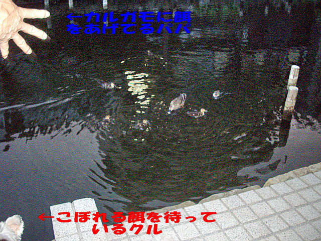c0138198_16281142.jpg