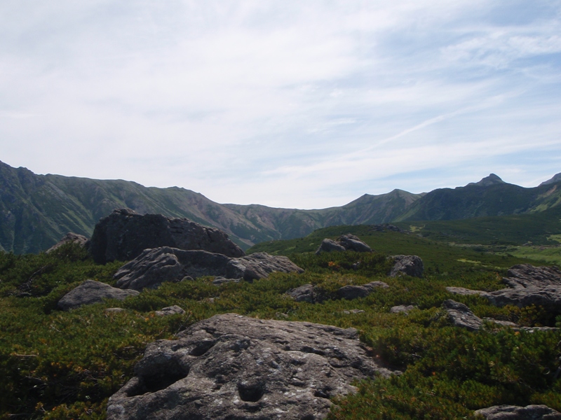 c0147398_001478.jpg