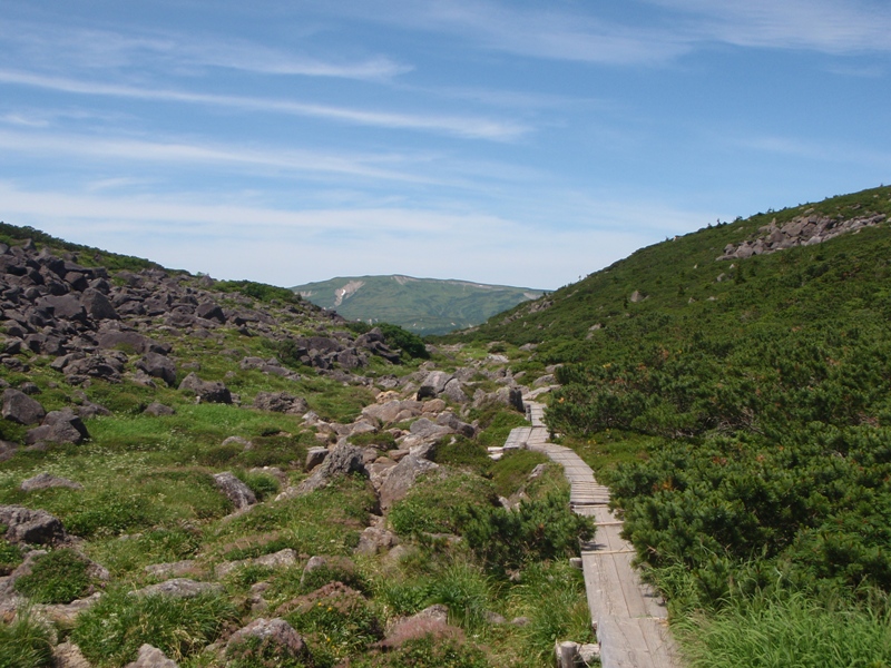 c0147398_0132100.jpg