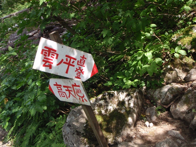 c0147398_023091.jpg