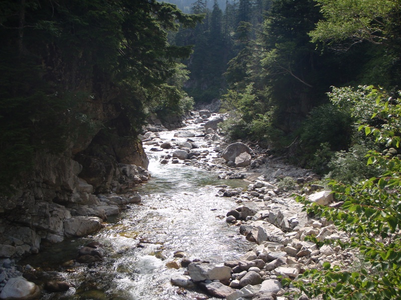 c0147398_03850.jpg