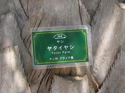 b0021101_22253058.jpg