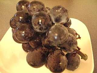 e0175702_0434136.jpg
