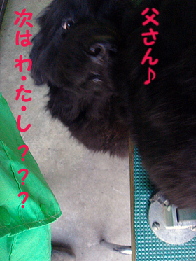 e0005603_7442265.jpg