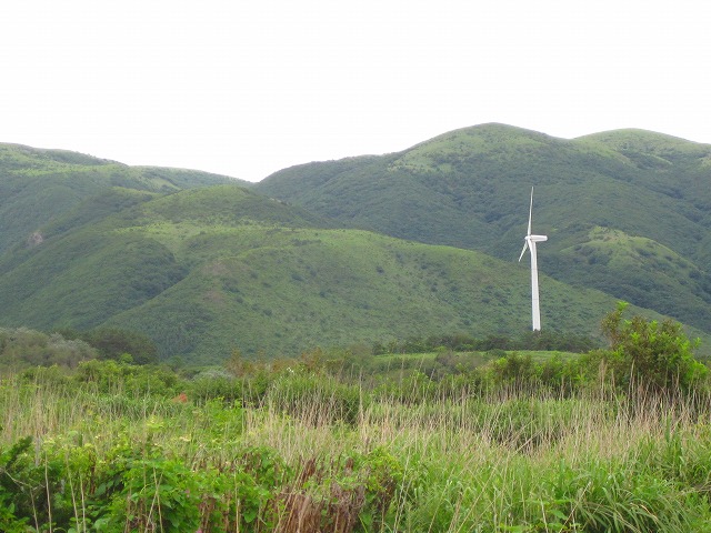 e0183804_438195.jpg