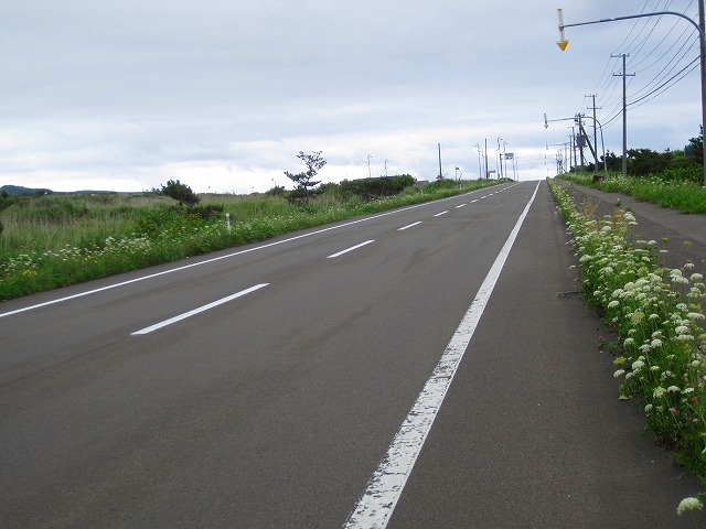e0183804_4382663.jpg