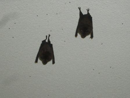 c0092408_17274821.jpg