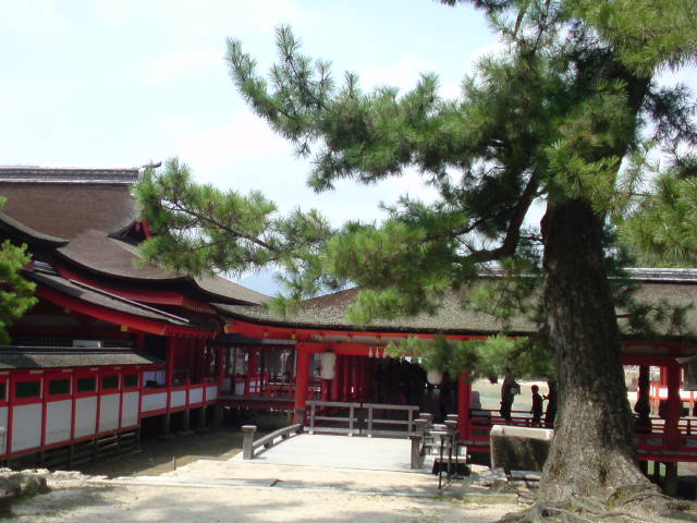 e0177509_1240142.jpg