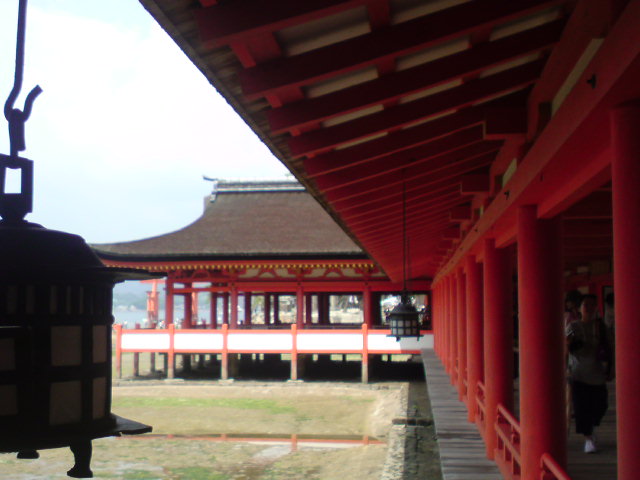 e0177509_1240148.jpg