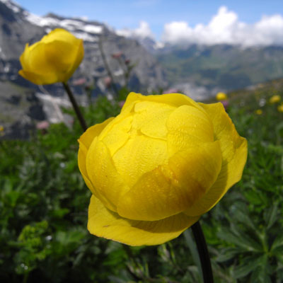 c0026612_835490.jpg