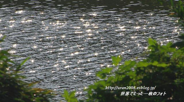 d0147812_13312242.jpg