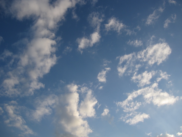 b0170716_172534.jpg