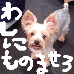 c0036617_1785081.jpg