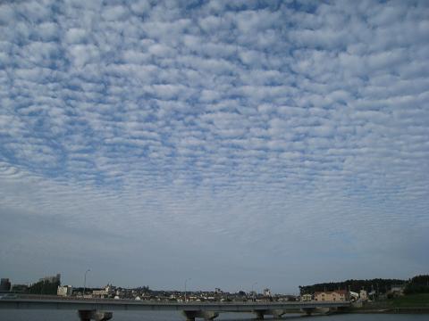 c0084117_1544935.jpg