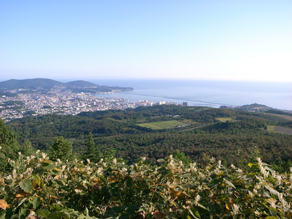 d0106518_1042328.jpg