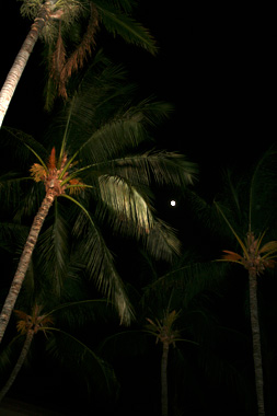 d0133320_312739.jpg