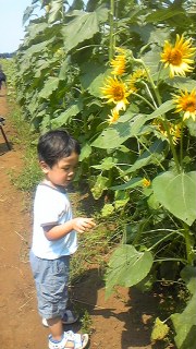 c0033521_20324685.jpg