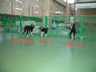 e0179321_21551663.jpg
