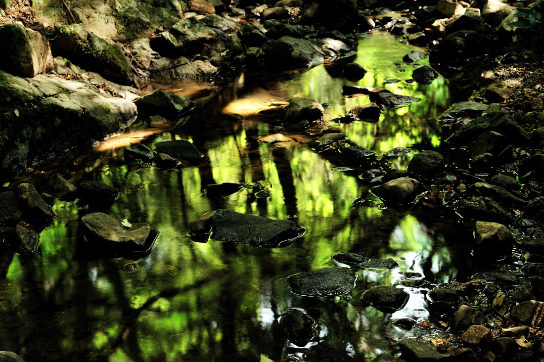 c0189822_12373844.jpg