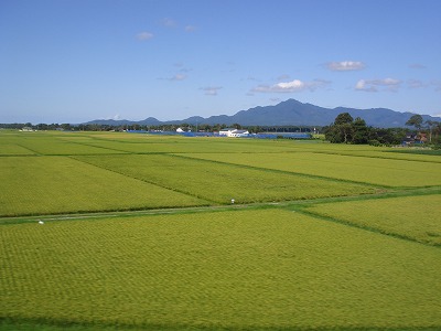 f0069723_231820.jpg