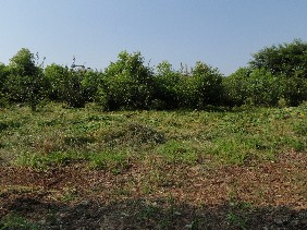 f0022024_21292342.jpg