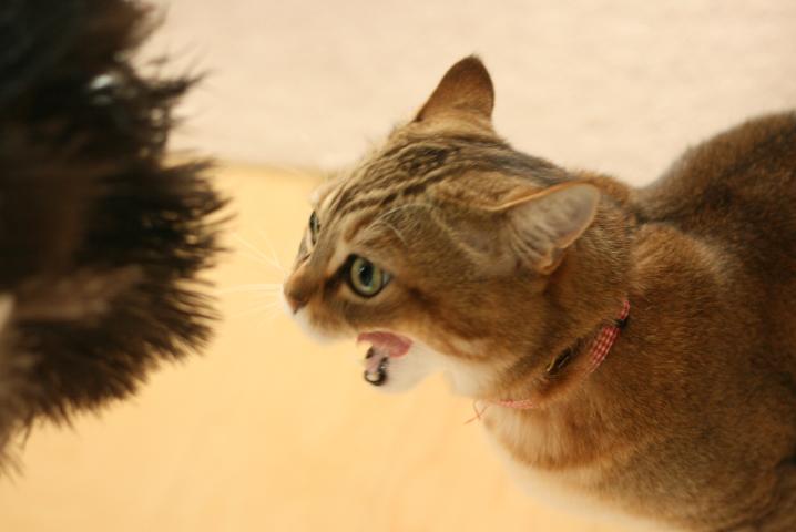 f0055228_17214866.jpg