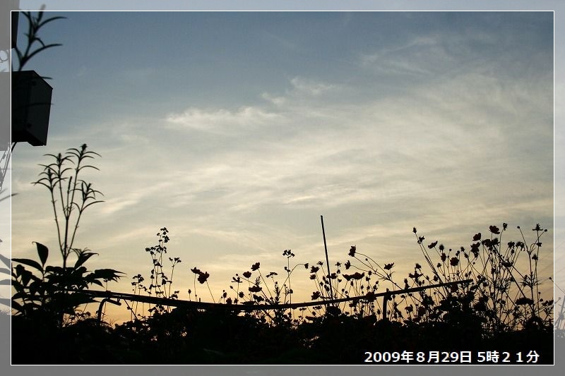 e0052135_22513655.jpg
