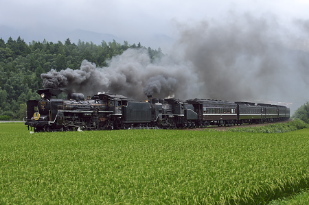 e0140535_056393.jpg
