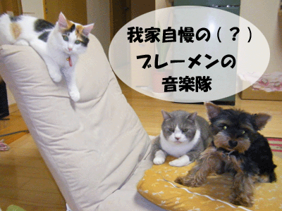 f0008935_1314116.gif