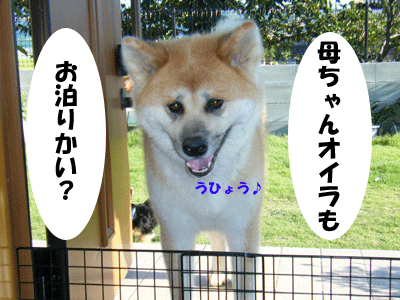f0008935_13144081.gif