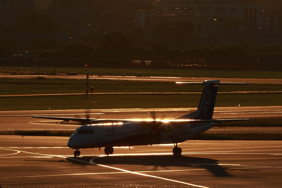 c0169436_2032965.jpg
