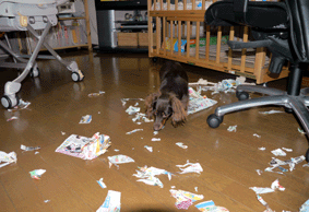c0080038_15464053.gif
